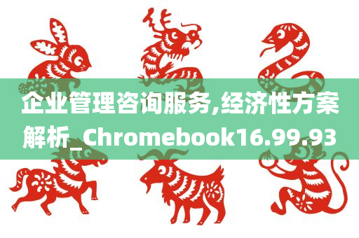 企业管理咨询服务,经济性方案解析_Chromebook16.99.93