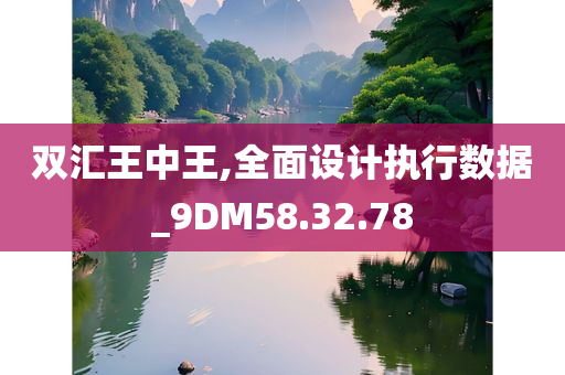 双汇王中王,全面设计执行数据_9DM58.32.78