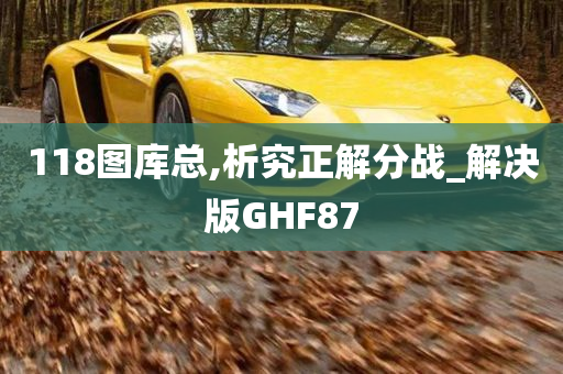 118图库总,析究正解分战_解决版GHF87