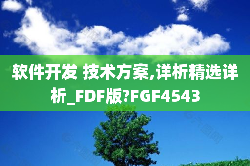 软件开发 技术方案,详析精选详析_FDF版?FGF4543