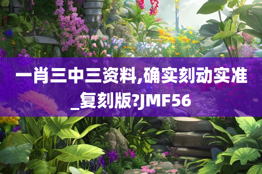 一肖三中三资料,确实刻动实准_复刻版?JMF56