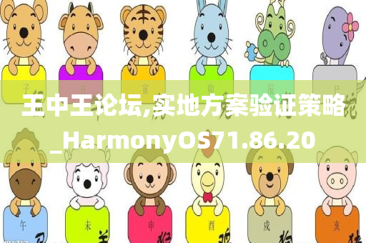 王中王论坛,实地方案验证策略_HarmonyOS71.86.20