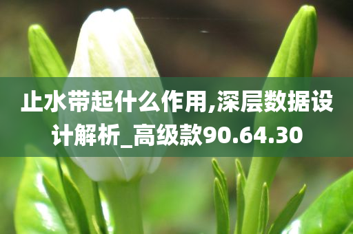 止水带起什么作用,深层数据设计解析_高级款90.64.30