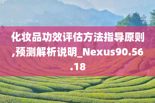 化妆品功效评估方法指导原则,预测解析说明_Nexus90.56.18