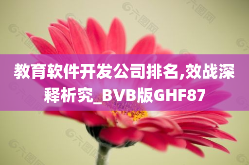 教育软件开发公司排名,效战深释析究_BVB版GHF87