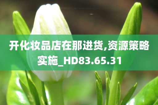 开化妆品店在那进货,资源策略实施_HD83.65.31