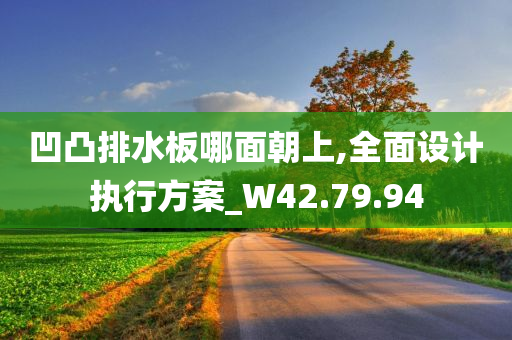 凹凸排水板哪面朝上,全面设计执行方案_W42.79.94