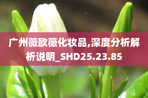 广州薇欧薇化妆品,深度分析解析说明_SHD25.23.85