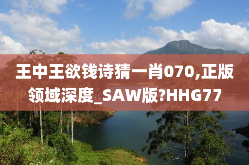 王中王欲钱诗猜一肖070,正版领域深度_SAW版?HHG77