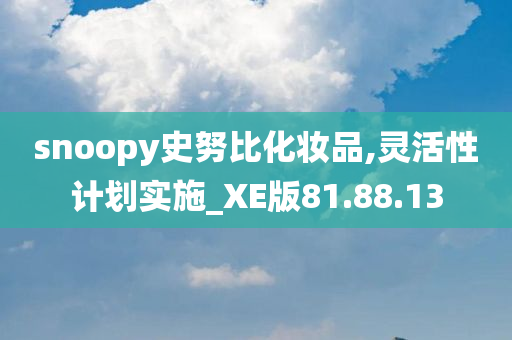 snoopy史努比化妆品,灵活性计划实施_XE版81.88.13