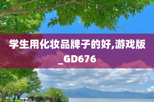 学生用化妆品牌子的好,游戏版_GD676