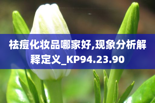 祛痘化妆品哪家好,现象分析解释定义_KP94.23.90