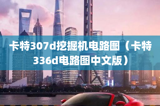 卡特307d挖掘机电路图（卡特336d电路图中文版）