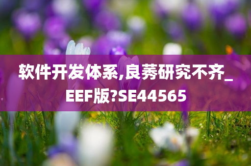 软件开发体系,良莠研究不齐_EEF版?SE44565