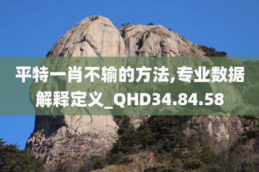 平特一肖不输的方法,专业数据解释定义_QHD34.84.58