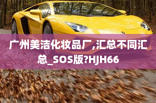 广州美洁化妆品厂,汇总不同汇总_SOS版?HJH66