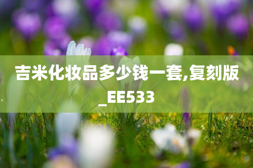 吉米化妆品多少钱一套,复刻版_EE533