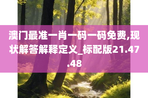 澳门最准一肖一码一码免费,现状解答解释定义_标配版21.47.48