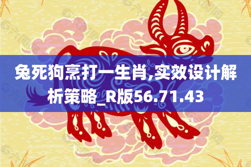 兔死狗烹打一生肖,实效设计解析策略_R版56.71.43