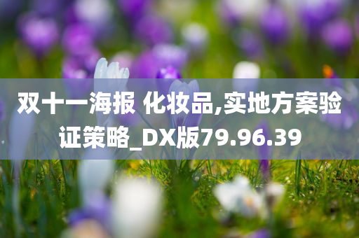 双十一海报 化妆品,实地方案验证策略_DX版79.96.39