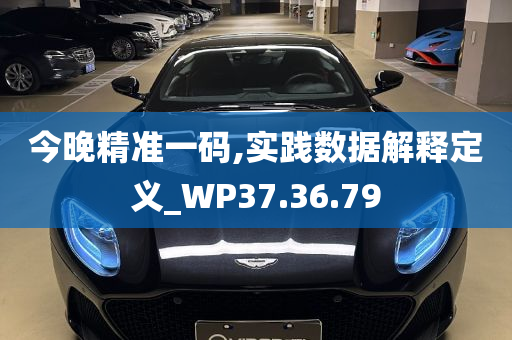 今晚精准一码,实践数据解释定义_WP37.36.79