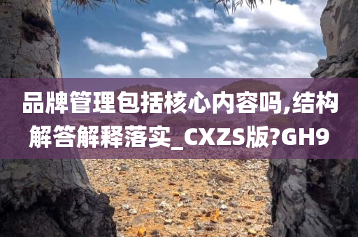 品牌管理包括核心内容吗,结构解答解释落实_CXZS版?GH9