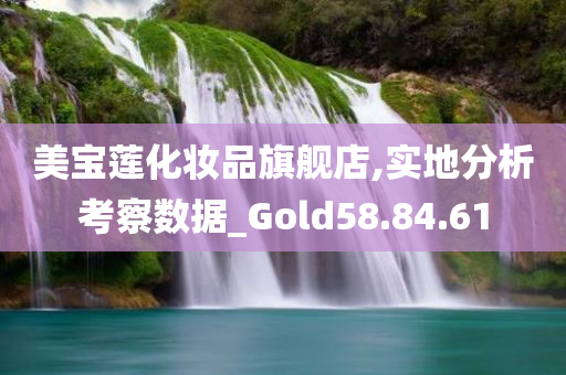 美宝莲化妆品旗舰店,实地分析考察数据_Gold58.84.61