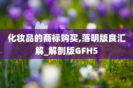 化妆品的商标购买,落明版良汇解_解剖版GFH5