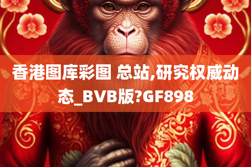 BVB动态