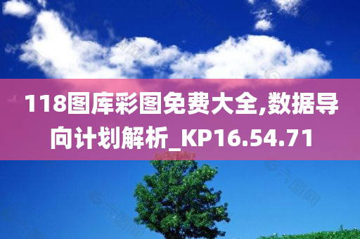 118图库彩图免费大全,数据导向计划解析_KP16.54.71