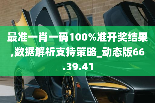 最准一肖一码100%准开奖结果,数据解析支持策略_动态版66.39.41