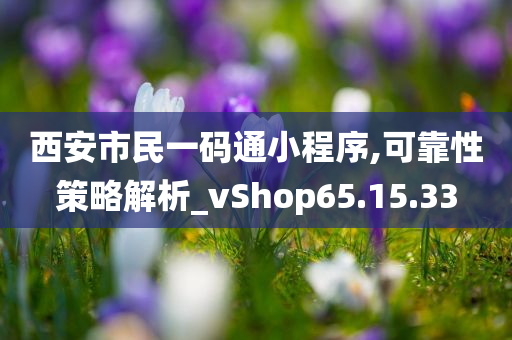 西安市民一码通小程序,可靠性策略解析_vShop65.15.33