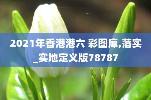 2021年香港港六 彩图库,落实_实地定义版78787