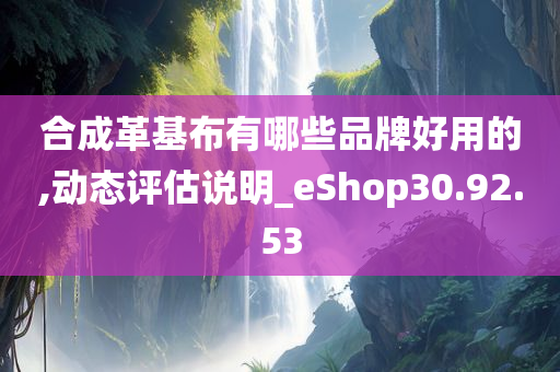 合成革基布有哪些品牌好用的,动态评估说明_eShop30.92.53