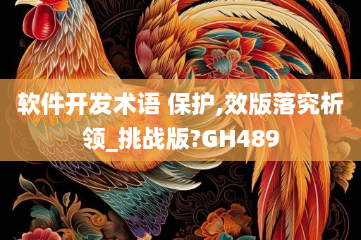 软件开发术语 保护,效版落究析领_挑战版?GH489