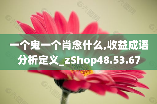 一个鬼一个肖念什么,收益成语分析定义_zShop48.53.67