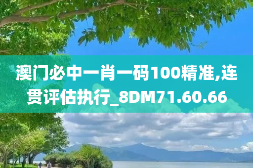 澳门必中一肖一码100精准,连贯评估执行_8DM71.60.66