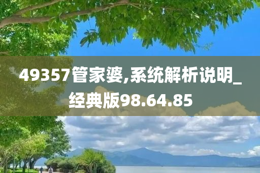 49357管家婆,系统解析说明_经典版98.64.85