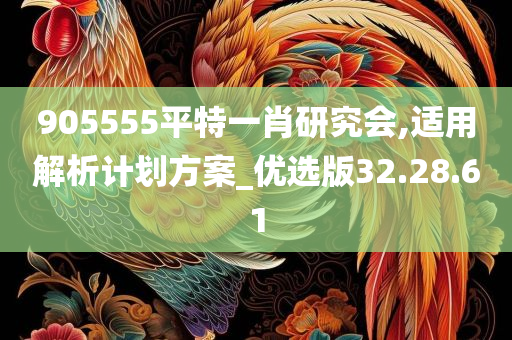 905555平特一肖研究会,适用解析计划方案_优选版32.28.61