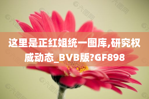 这里是正红姐统一图库,研究权威动态_BVB版?GF898