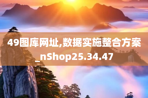 49图库网址,数据实施整合方案_nShop25.34.47