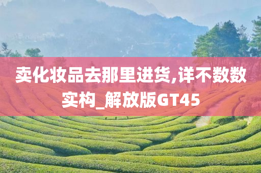 卖化妆品去那里进货,详不数数实构_解放版GT45