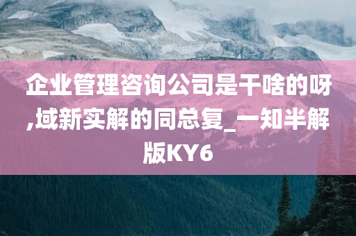 企业管理咨询公司是干啥的呀,域新实解的同总复_一知半解版KY6