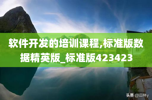 软件开发的培训课程,标准版数据精英版_标准版423423