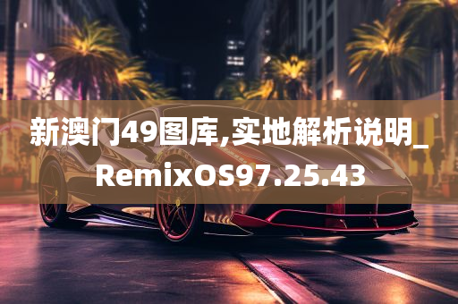 新澳门49图库,实地解析说明_RemixOS97.25.43