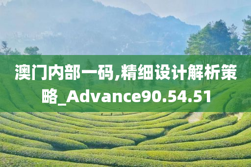 澳门内部一码,精细设计解析策略_Advance90.54.51