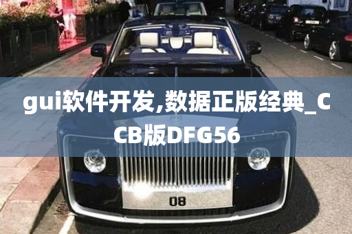 gui软件开发,数据正版经典_CCB版DFG56