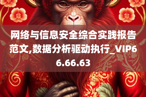 网络与信息安全综合实践报告范文,数据分析驱动执行_VIP66.66.63