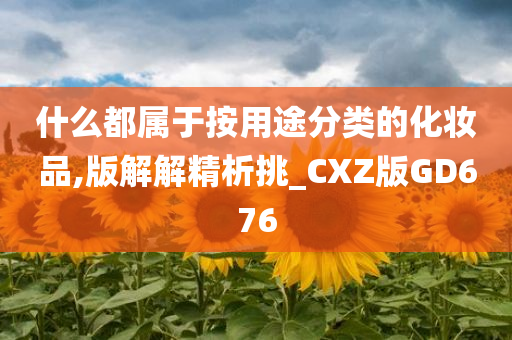 什么都属于按用途分类的化妆品,版解解精析挑_CXZ版GD676