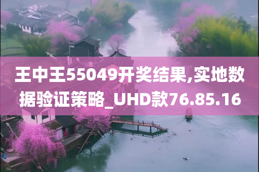 王中王55049开奖结果,实地数据验证策略_UHD款76.85.16